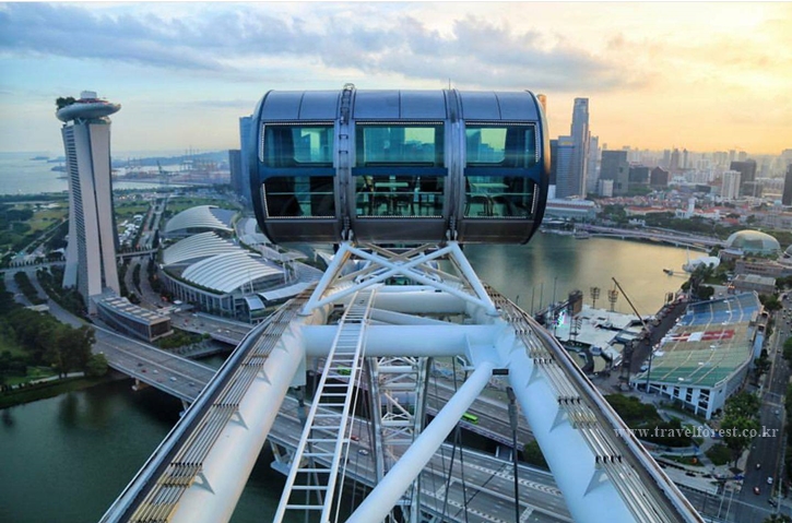 [대기줄없이우선탑승] 싱가포르 플라이어 + 타임캡슐 Singapore Flyer - 상세 이미지 3