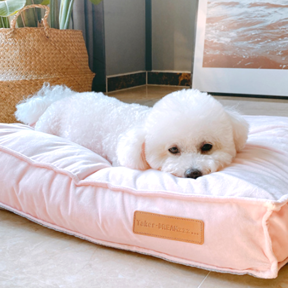 퍼플펫 강아지 방석 고양이 마약 방석 쿠션 커버분리 애견 대형견 쿠션 사각 카스테라 중형 - 상세 이미지 2