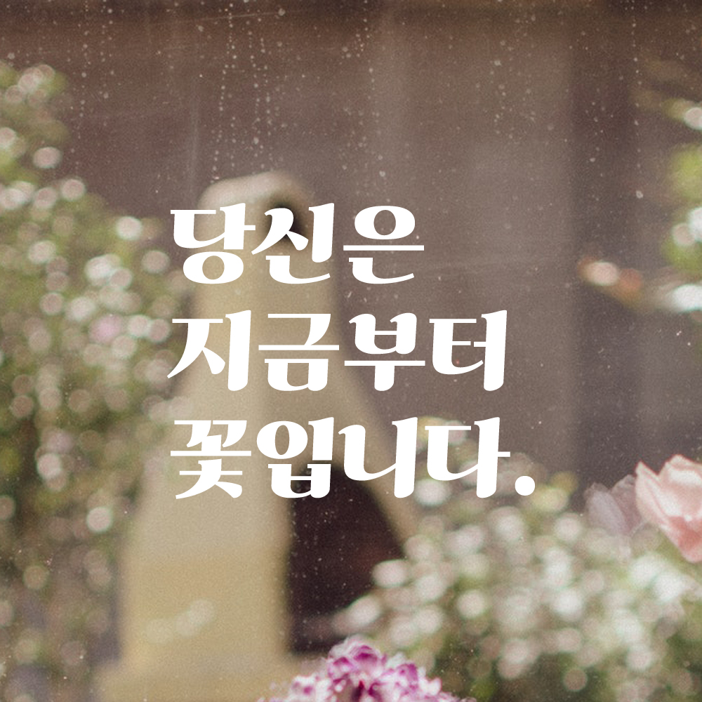 인테리어 포인트 그래픽 레트로 감성 레터링 스티커 당신은 지금부터 꽃입니다 LG-078S 검정 - 상세 이미지 2