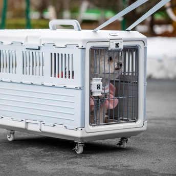 아이리스 접이식 켄넬 반려 동물 애견 이동장 FC550 FC670 그레이 화이트