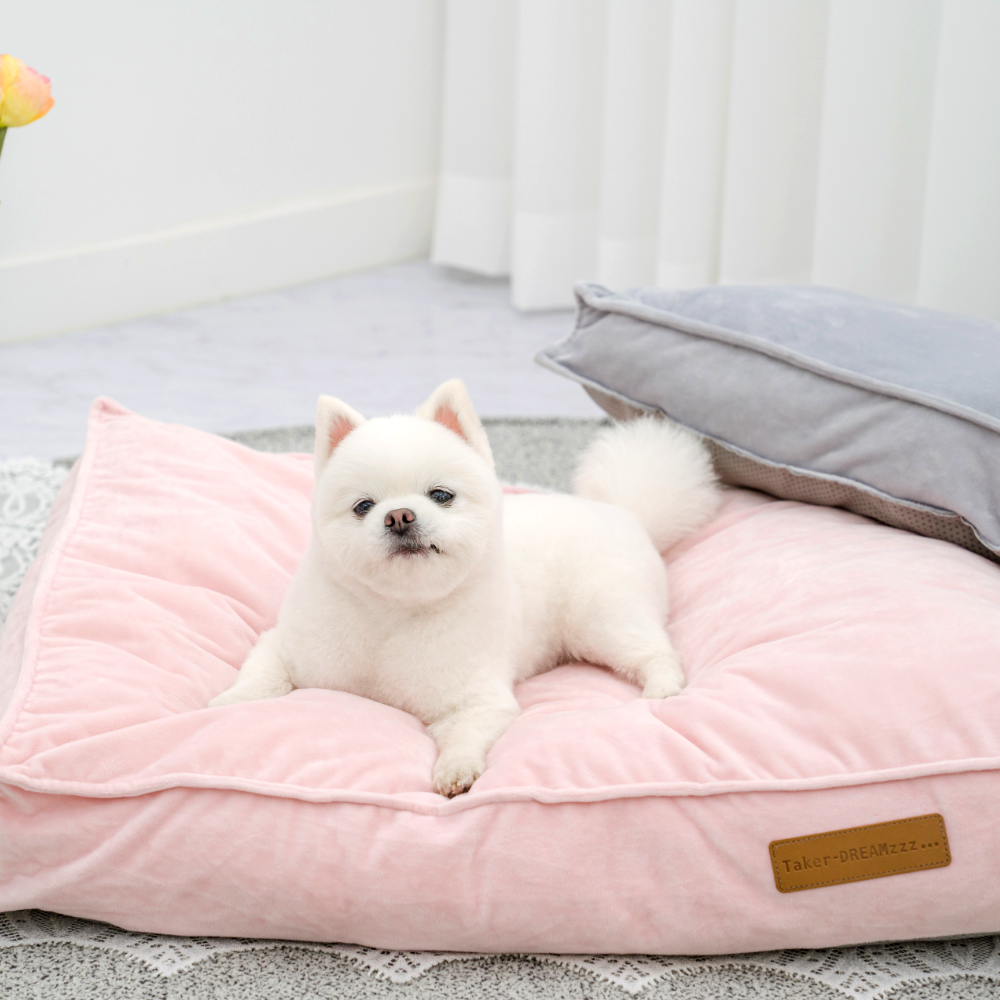 퍼플펫 강아지 방석 고양이 마약 방석 쿠션 커버분리 애견 대형견 쿠션 사각 카스테라 중형