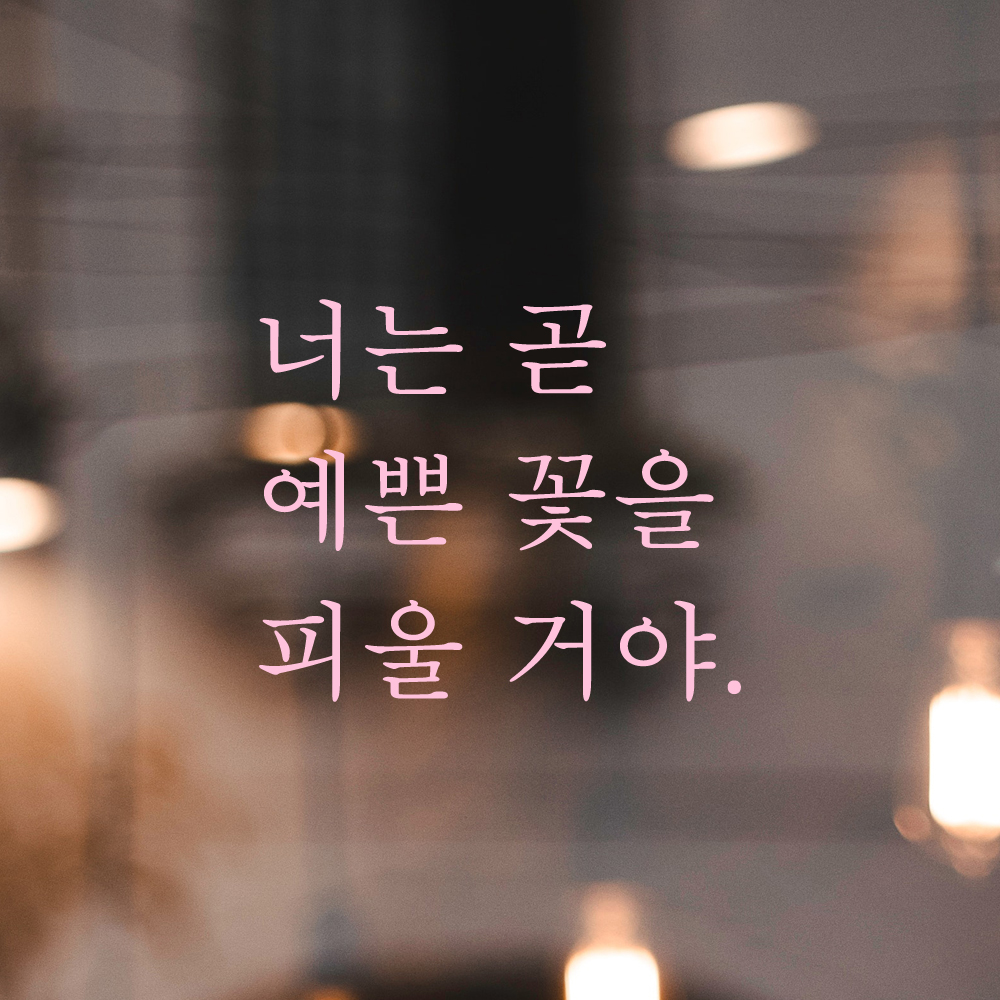 인테리어 포인트 감성 레터링 스티커 너는 곧 예쁜 꽃을 피울 거야 L-079S검정 - 상세 이미지 4