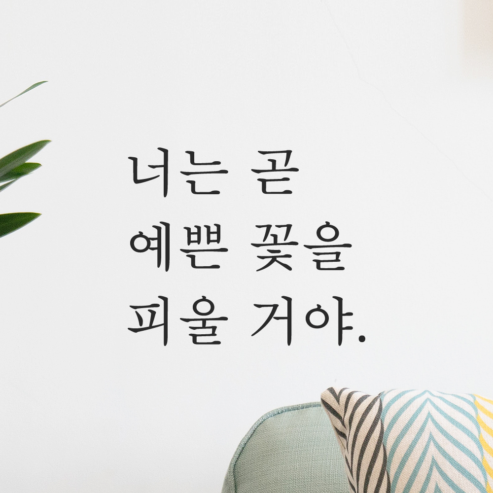 인테리어 포인트 감성 레터링 스티커 너는 곧 예쁜 꽃을 피울 거야 L-079S검정 - 상세 이미지 5