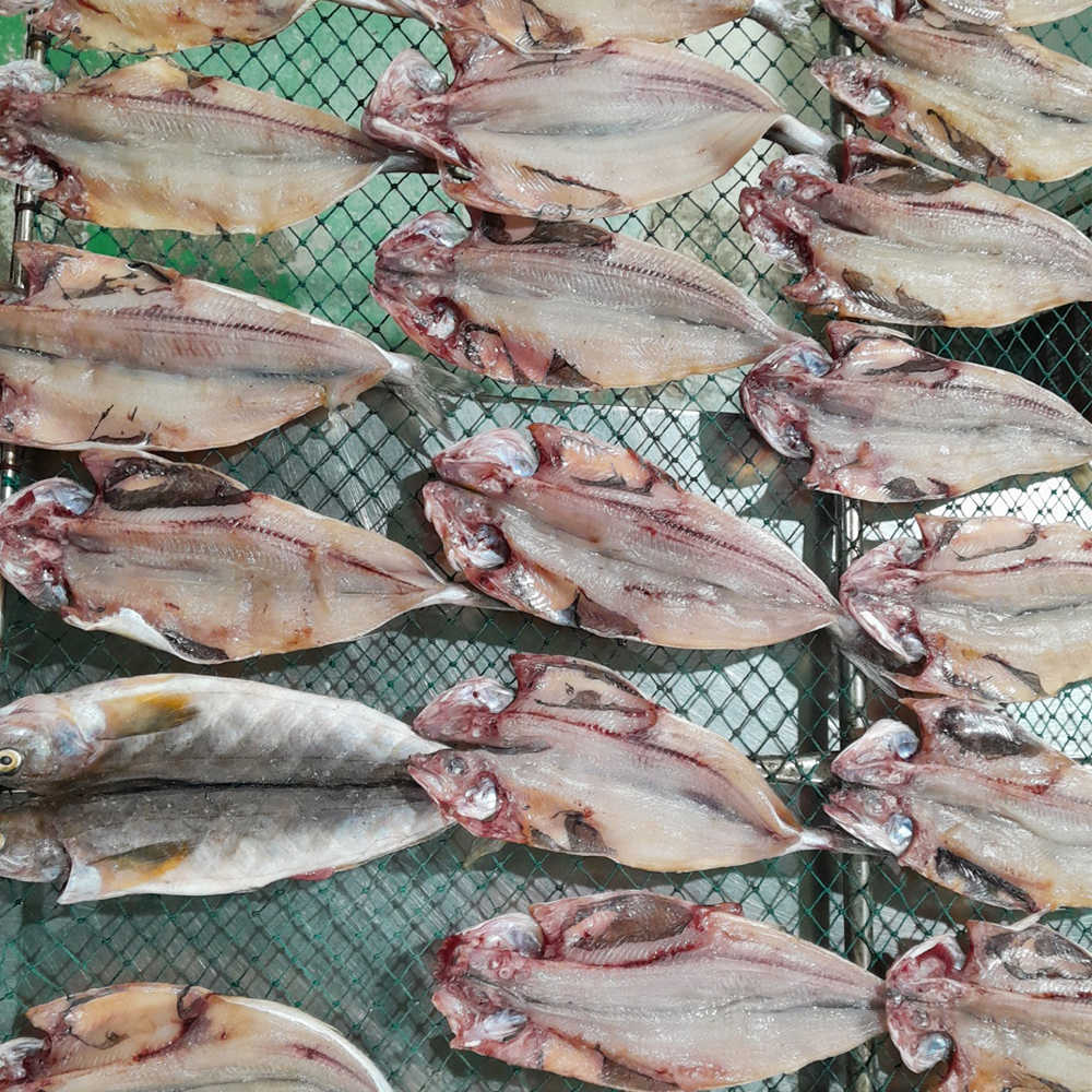 임연수어 이면수 새치생선 구이용 조림용 당일조업 반건조 손질 국내산 10미 900g - 상세 이미지 3