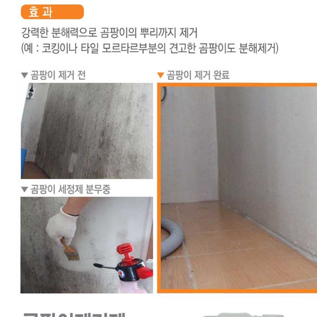 화장실 천장 곰팡이 제거 스프레이 베란다 벽 강력 곰팡이 제거제 - 상세 이미지 3