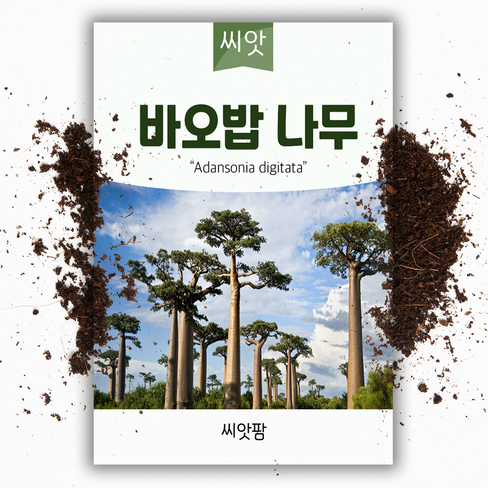 씨앗팜 바오밥나무씨앗 5립 열대식물 종자 - 상품 이미지