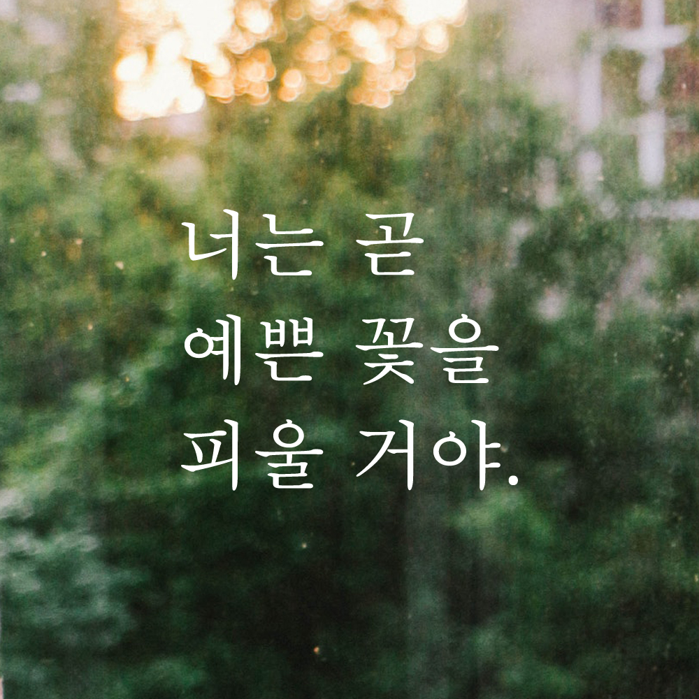 인테리어 포인트 감성 레터링 스티커 너는 곧 예쁜 꽃을 피울 거야 L-079S 검정 - 상세 이미지 2