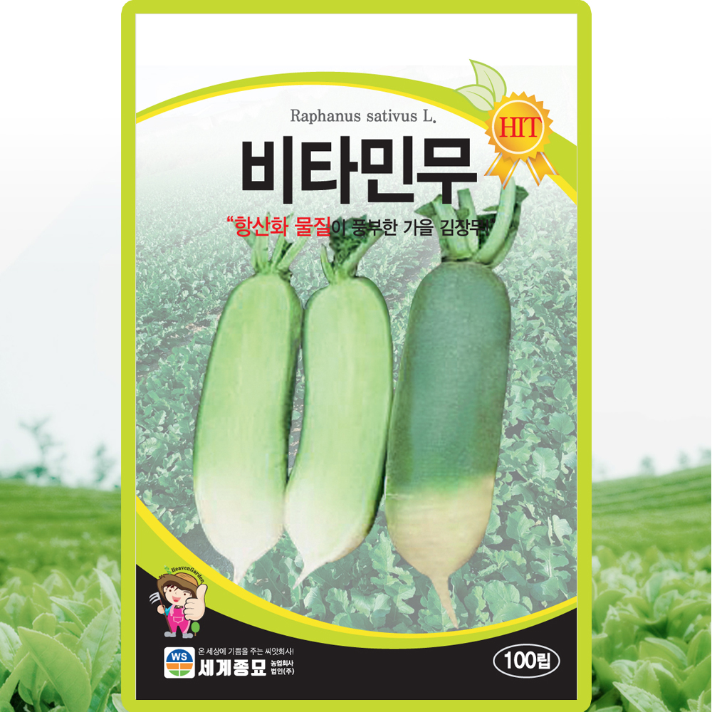 세계종묘 비타민무 씨앗 100립 가을 김장무씨 종자 : 산들마켓샵
