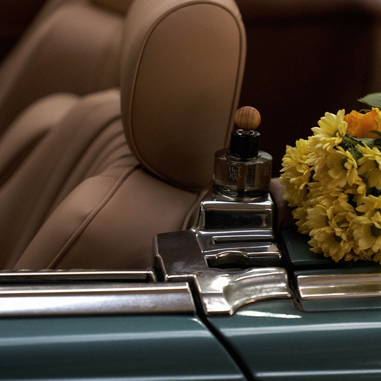 [기획세트]헤트라스 프리미엄 대용량 디퓨저 500ml 2개 +차량용 디퓨저 77ml 2개 선물세트