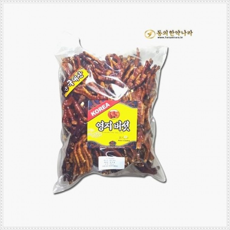 동의한약나라 국내산 1ea 녹각영지버섯 500g 뿔영지버섯 : 선한능력1