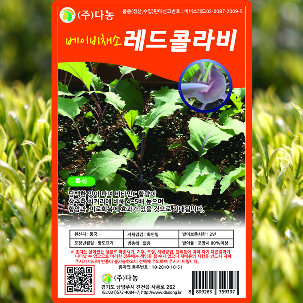 다농 베이비레드콜라비 씨앗 10g 베이비 적색 콜라비씨 종자 : 산들마켓샵