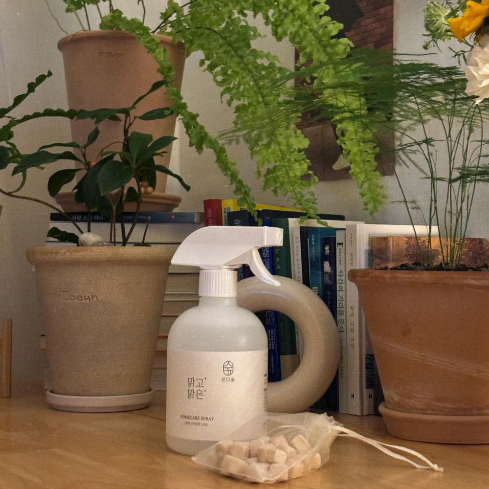 피톤치드 편백수 스프레이 편백나무원액100% 새집증후군 제거 방법 새가구 가죽 페인트 집먼지 탈취 새차 탄 곰팡이 냄새제거 침대 이불 셀프 고급1.5L