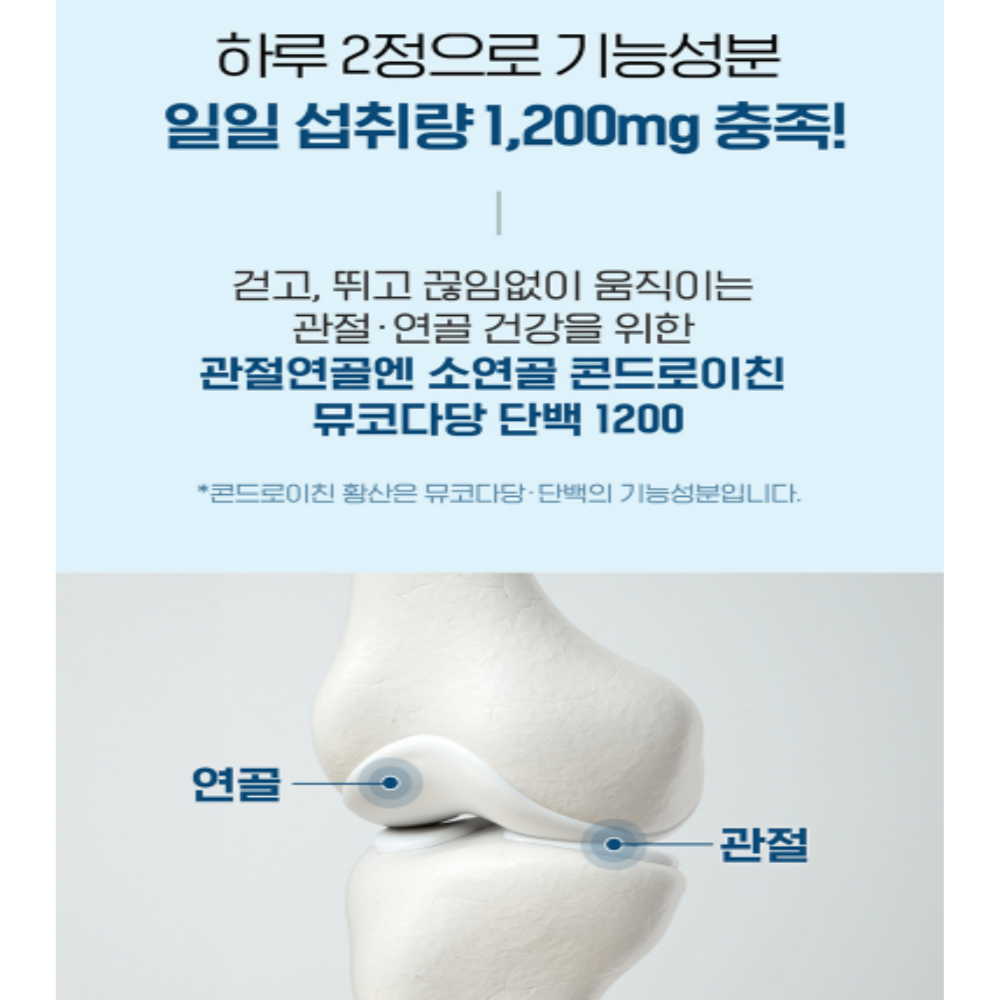관절 연골엔 소연골 콘드로이친 콘드레이친 뮤코다당 단백 1200 이미지 6