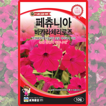 세계종묘 페츄니아 바카라 체리로즈 씨앗 10립 페츄니아 꽃씨 종자