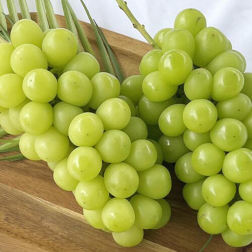 한알 달콤 고당도 포도 샤인머스켓 2kg 일반 - 상세 이미지 2
