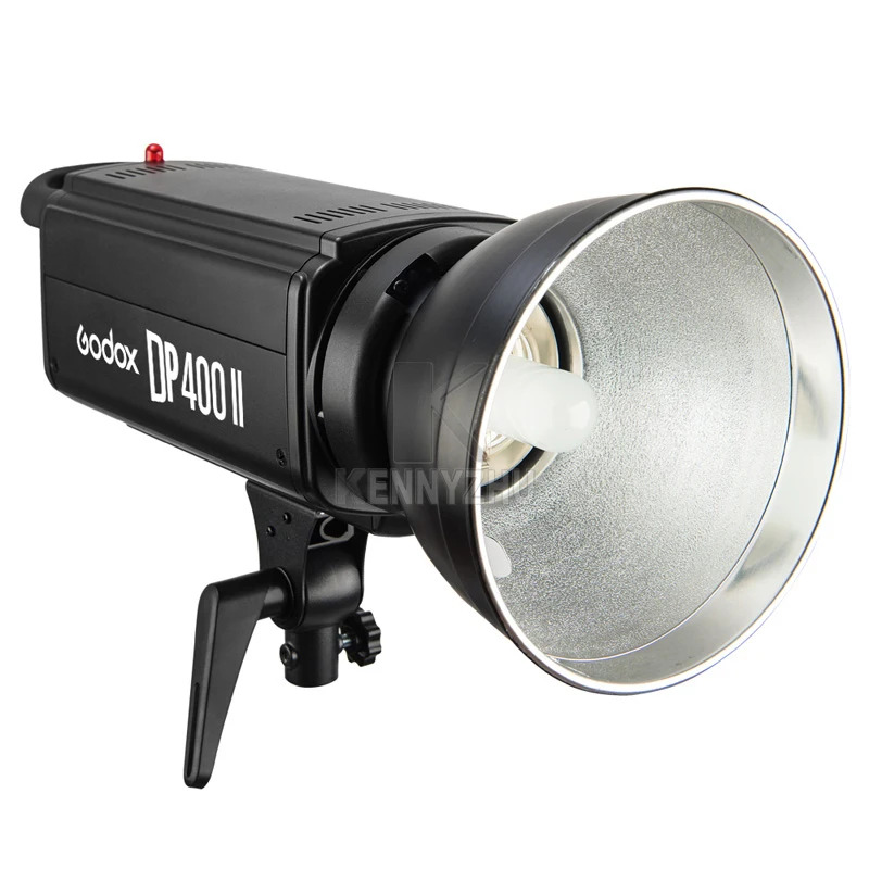 Godox 무선 X 시스템 스튜디오 스트로브 플래시 라이트 DP400II 400W 2.4G 400Ws GN65 프로 조명 손전등 : 돈나무12호