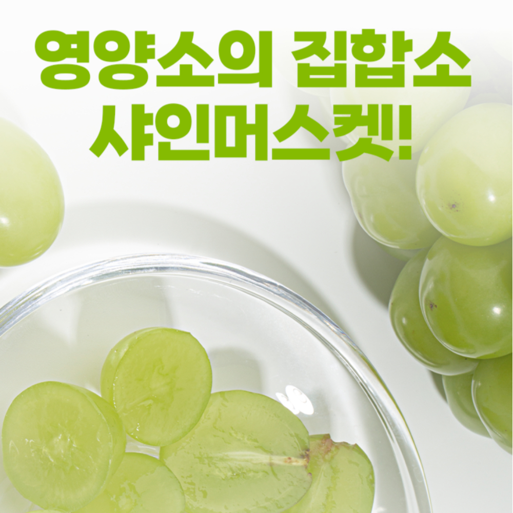 샤인머스켓 제철 스테비아급 씨없는포도 망고포도 - 상세 이미지 3