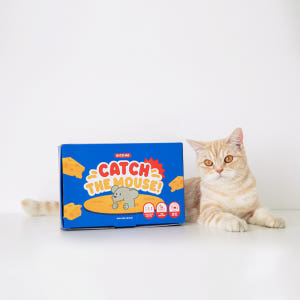 고양이 자동 장난감 타이머사냥놀이 캐치더마우스 솔직 후기 | 실제 사용자 리뷰 총정리 - 상품 이미지 4