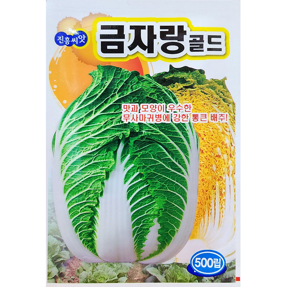 금자랑골드배추 김장배추씨앗 김장씨앗 500립 진흥 24년 : 제일농약사