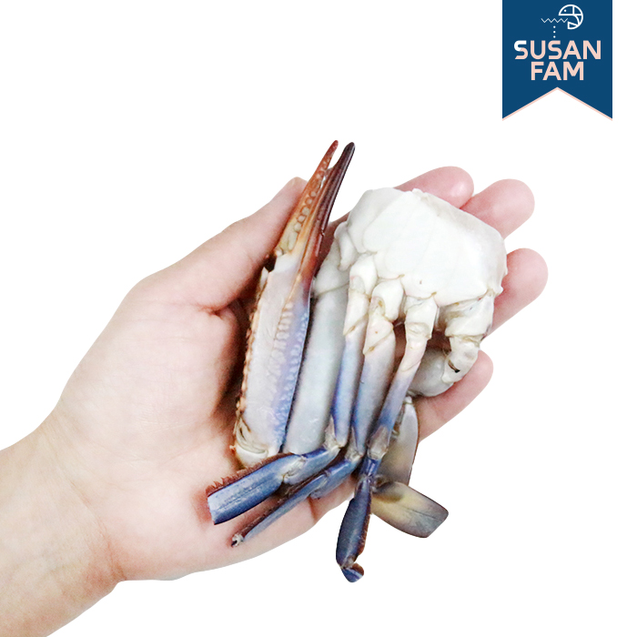 손질 절단꽃게 6kg(500gX12팩) 냉동 꽃게 바레인 (수산팜) - 상세 이미지 2