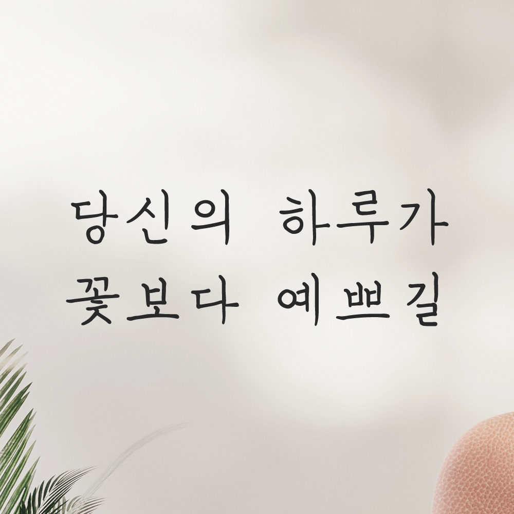 인테리어 포인트 감성 손글씨 레터링 스티커 당신의 하루가 꽃보다 예쁘길 LH-057S 검정 이미지 6