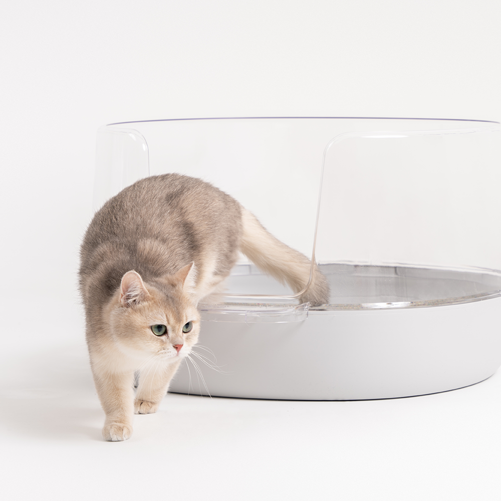 냥쌤 고양이화장실 투명화장실 대형 배변통 사막화방지