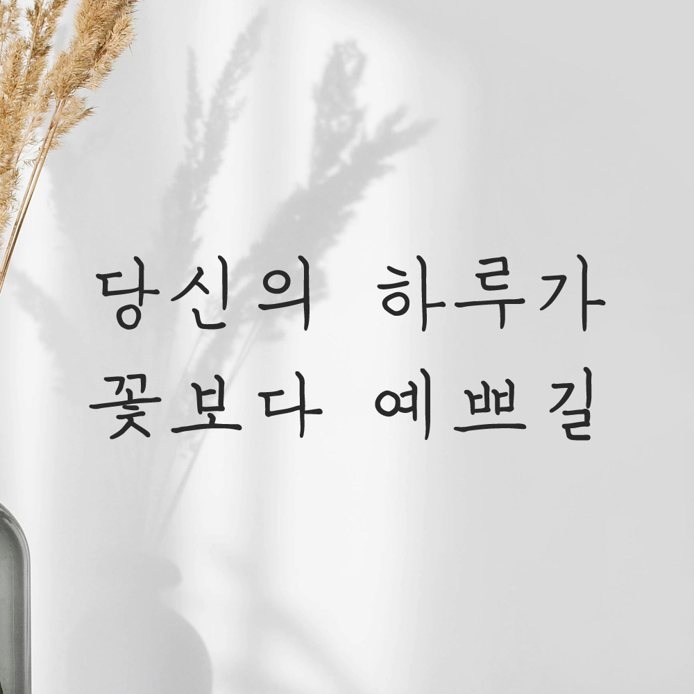 인테리어 포인트 감성 손글씨 레터링 스티커 당신의 하루가 꽃보다 예쁘길 LH-057S 검정 이미지 8