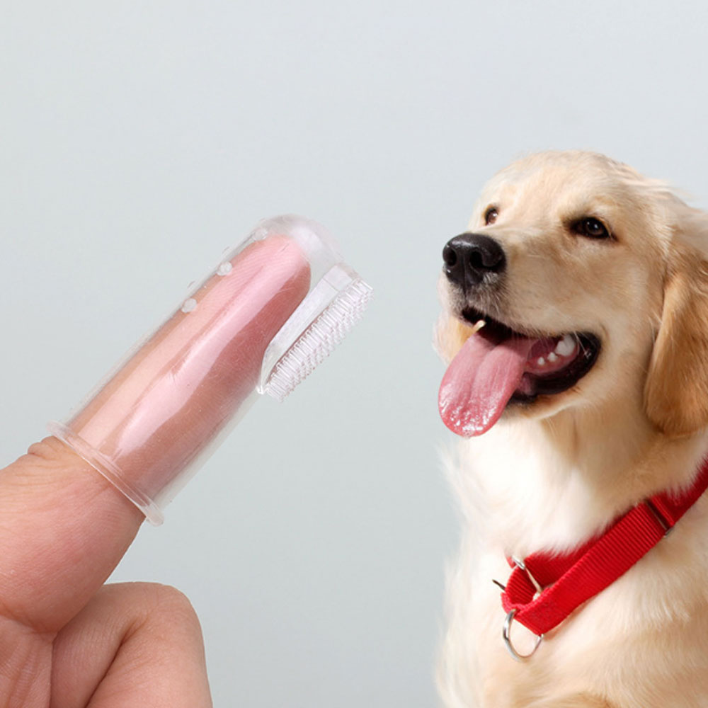 크레용펫 강아지 고양이 실리콘 손가락 칫솔 - 상품 이미지
