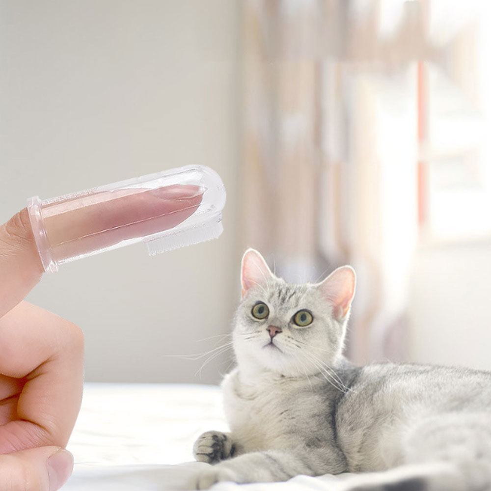 크레용펫 강아지 고양이 실리콘 손가락 칫솔 - 상세 이미지 2