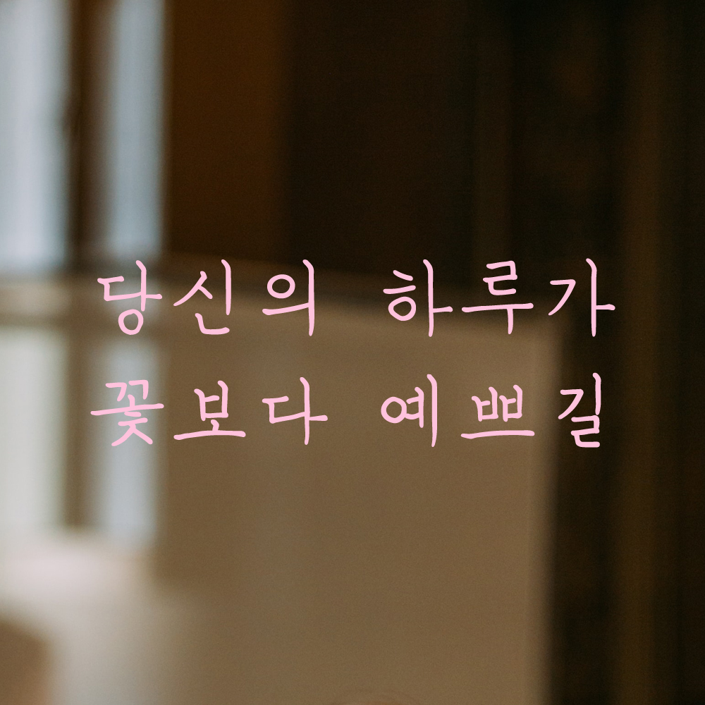 인테리어 포인트 감성 손글씨 레터링 스티커 당신의 하루가 꽃보다 예쁘길 LH-057S 검정 - 상세 이미지 4