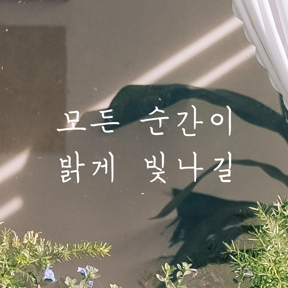 인테리어 포인트 감성 손글씨 레터링 스티커 모든 순간이 밝게 빛나길 LH-056S검정 - 상세 이미지 2