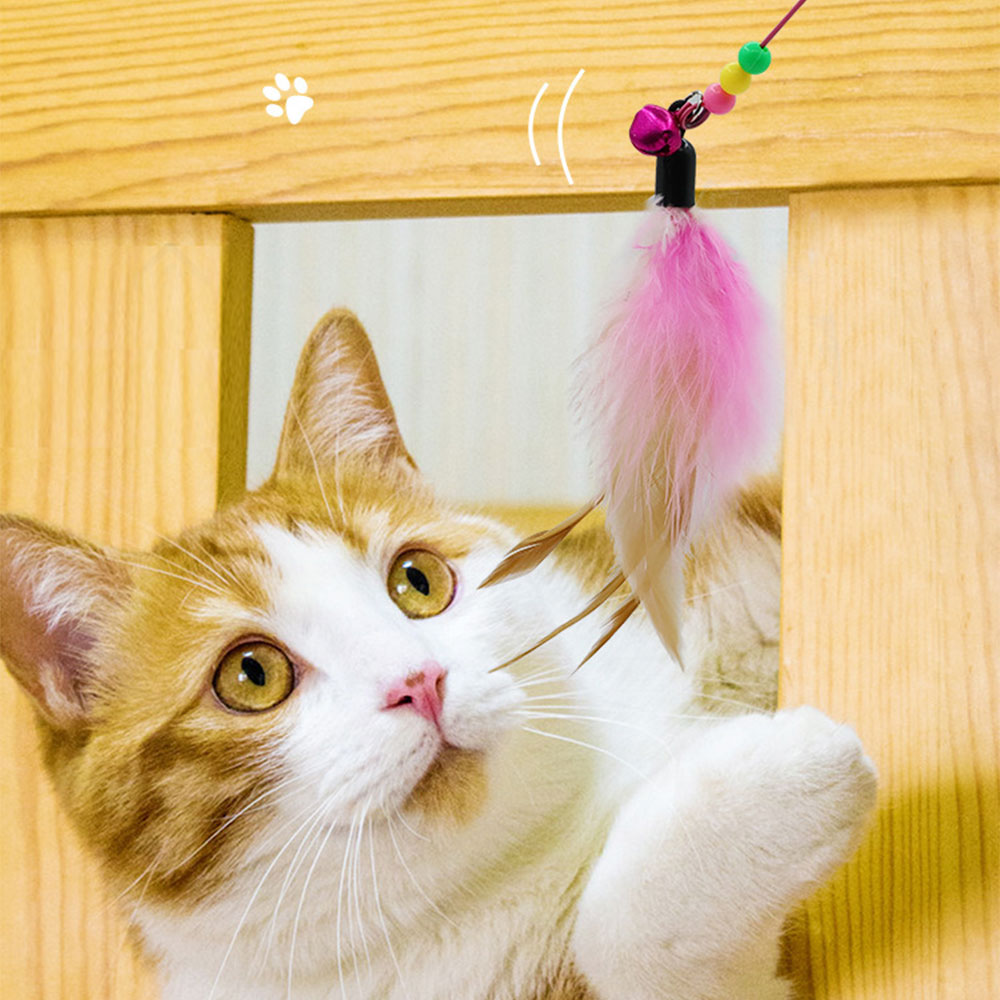 크레용펫 고양이 낚시대 장난감 - 상품 이미지
