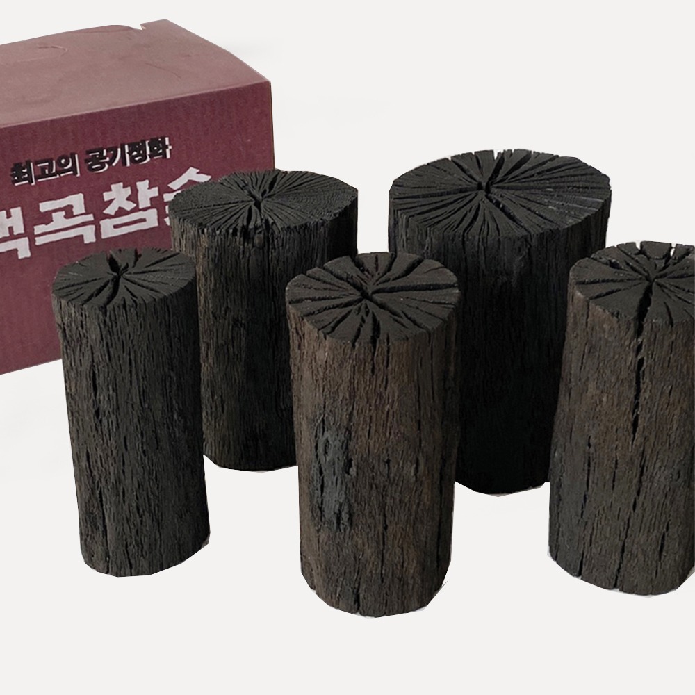 백곡 참숯 3kg l간장숯 공기정화 제습 탈취 캠핑 펜션 : 더담고