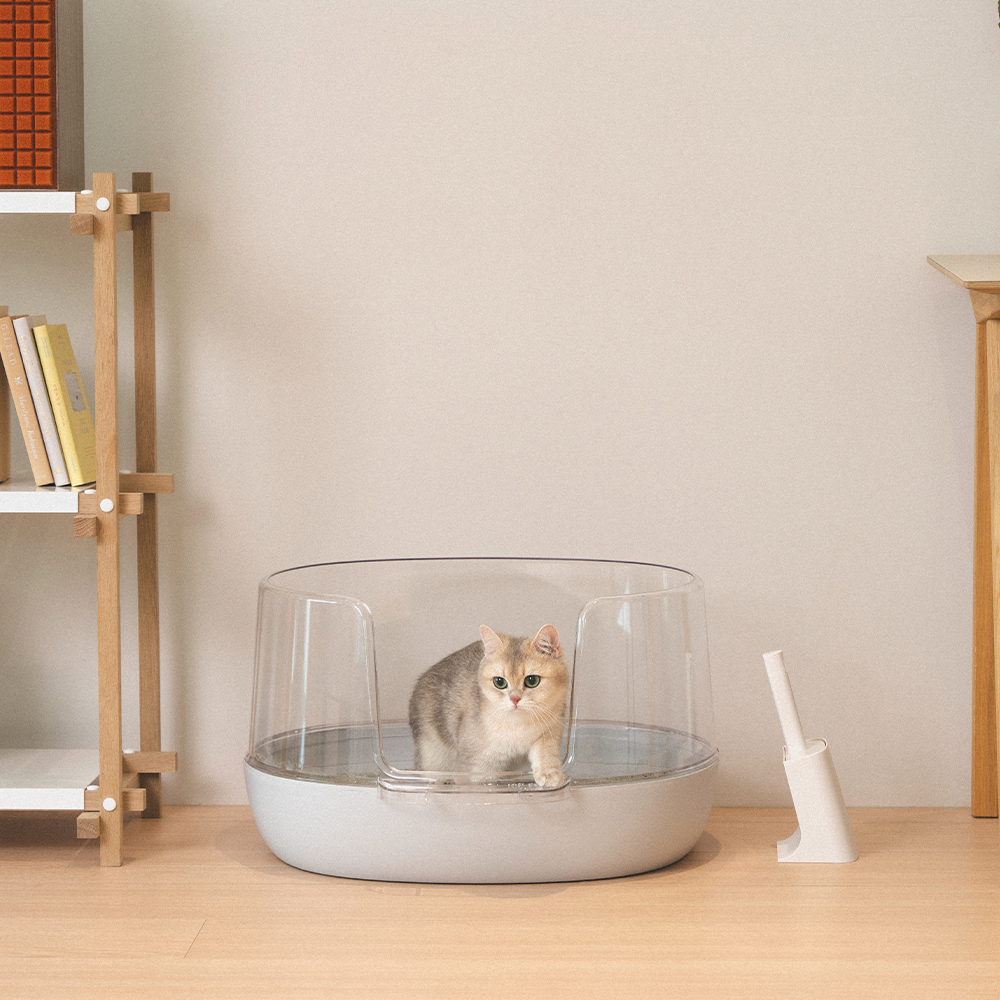 냥쌤 고양이화장실 투명화장실 대형 배변통 사막화방지