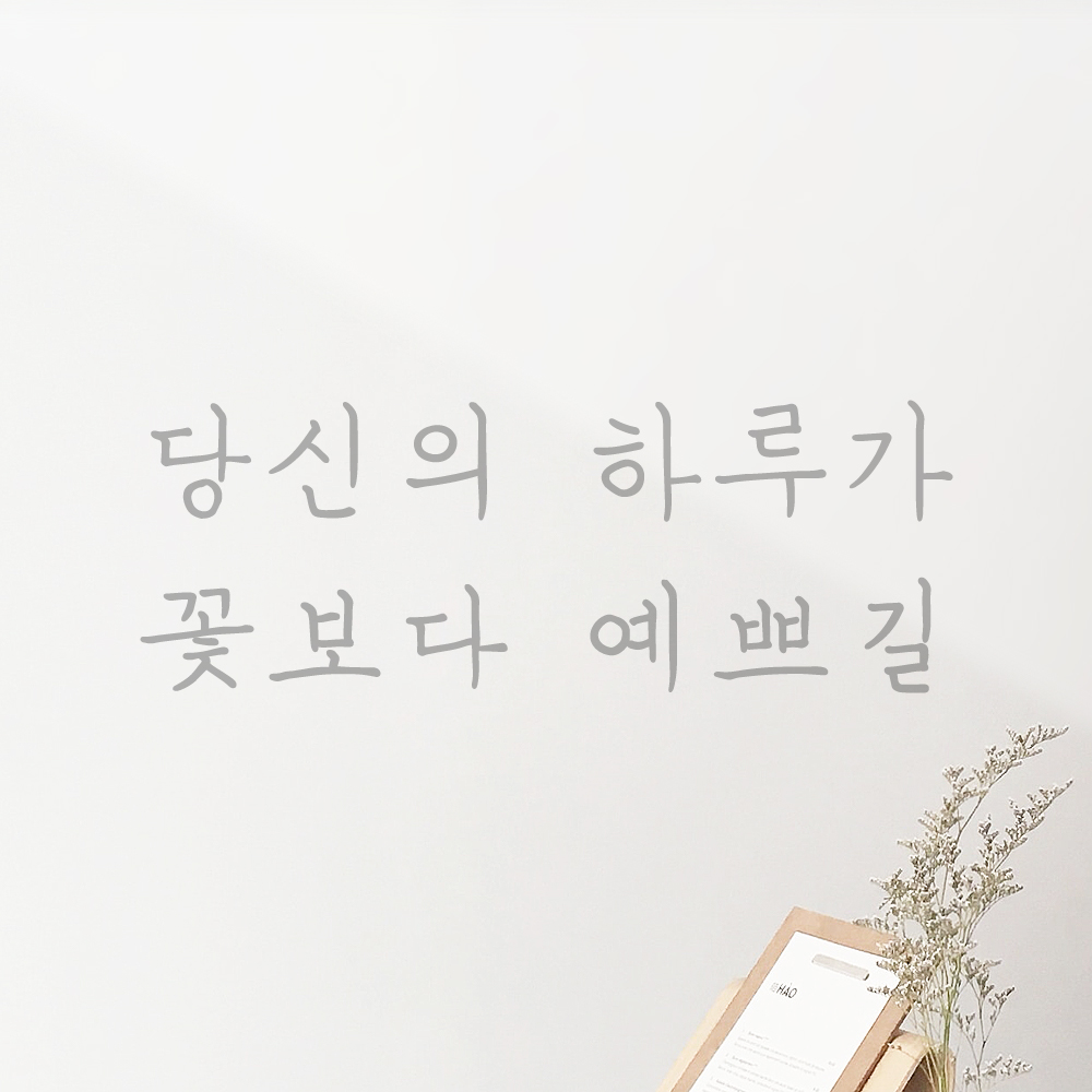 인테리어 포인트 감성 손글씨 레터링 스티커 당신의 하루가 꽃보다 예쁘길 LH-057S 검정 - 상세 이미지 3