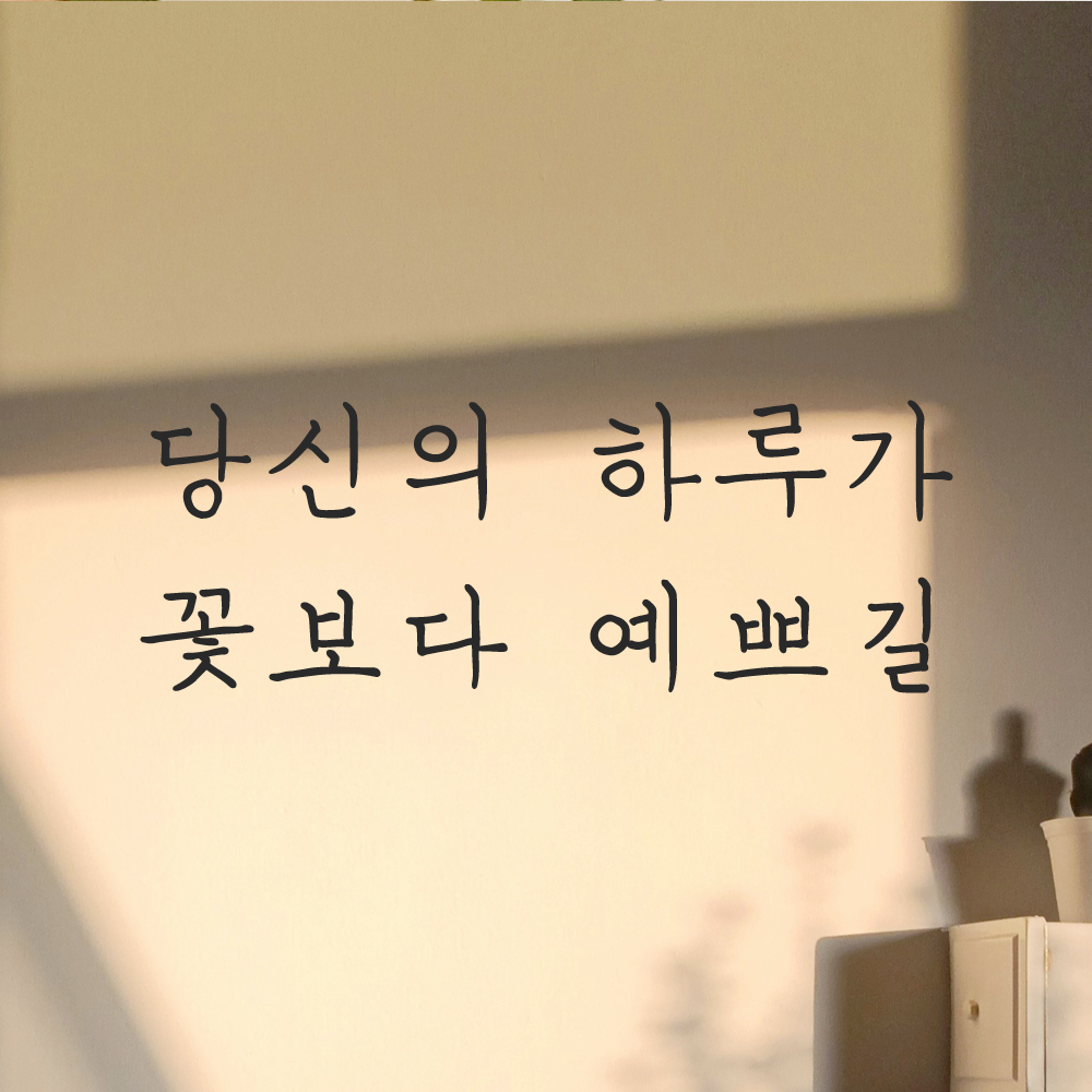 인테리어 포인트 감성 손글씨 레터링 스티커 당신의 하루가 꽃보다 예쁘길 LH-057S검정 이미지 7