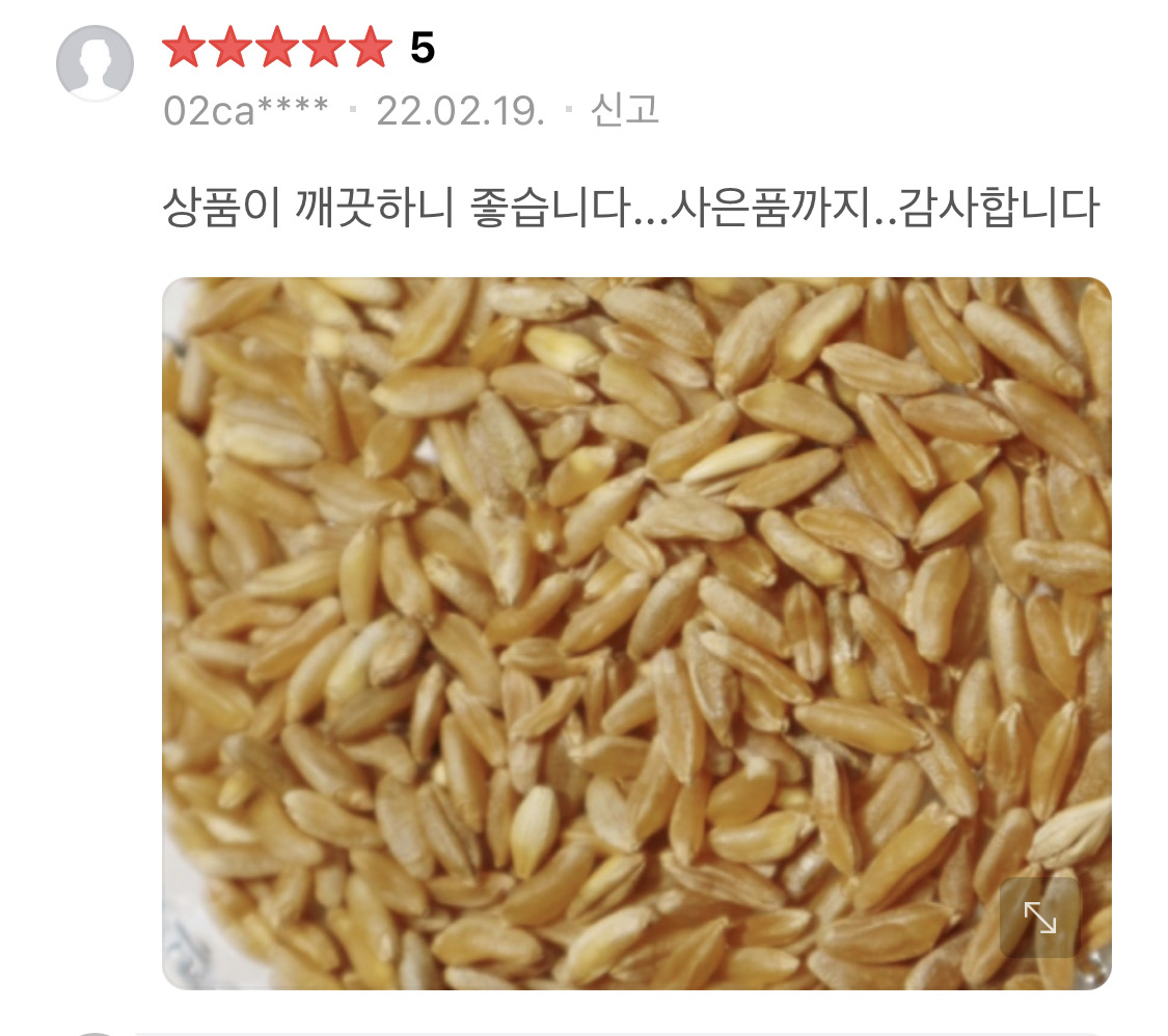 고객감사 특A급 카뮤트 쌀10Kg 벌크 호라산밀 통곡물 당뇨쌀 카무드 쌀 잡곡 10kg, 1개 이미지 8