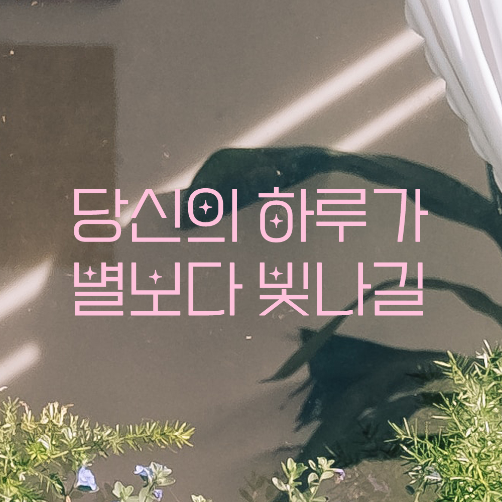 인테리어 포인트 예쁜 별폰트 레터링 스티커 당신의 하루가 별보다 빛나길 LPP-027S검정 - 상세 이미지 4