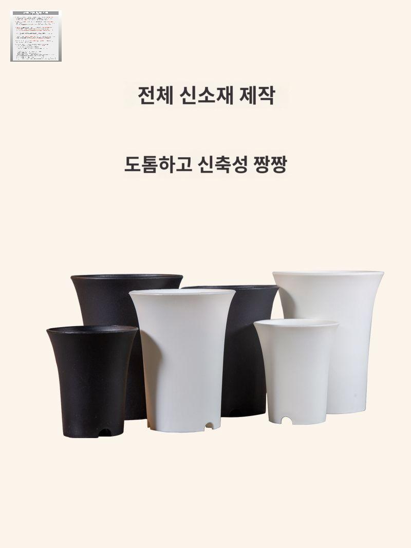 긴화분 다육식물 검정 하월시아 플라스틱화분 플분 : 명성무역