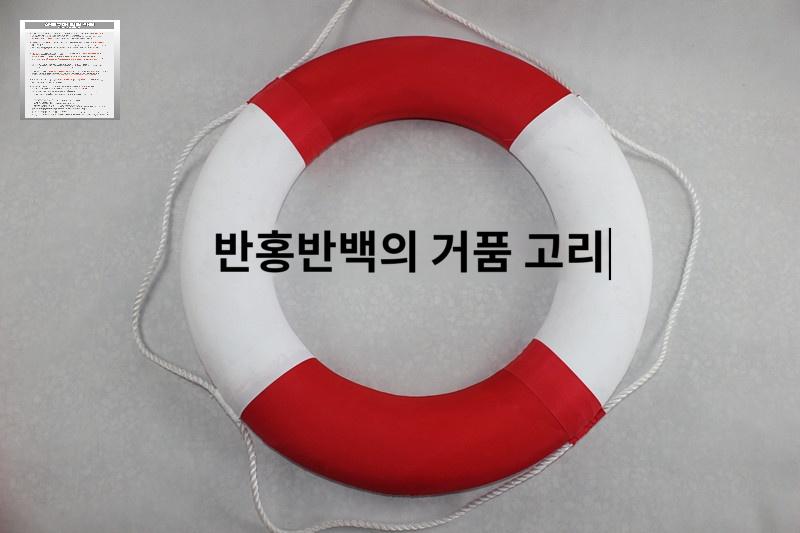 레스큐튜브 인명구조 구명부환 해양 구명환 - 상세 이미지 5