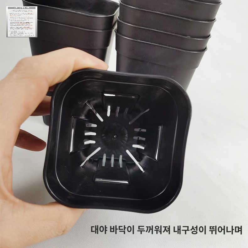 롱슬릿분 플라스틱화분 플분 프레스테라 슬릿화분 - 상세 이미지 2