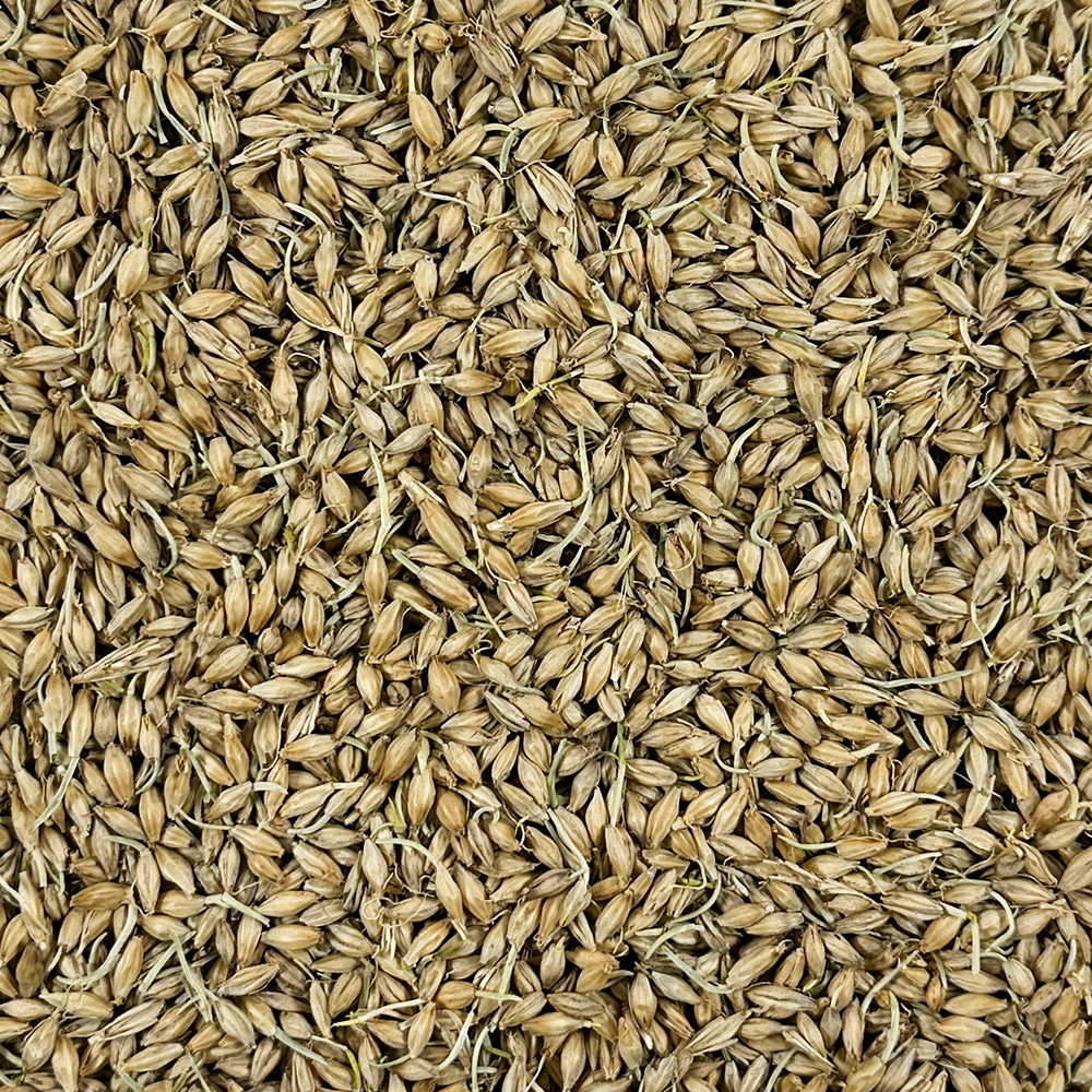 국산 싹튼 맥아 보리 1kg - 상세 이미지 4