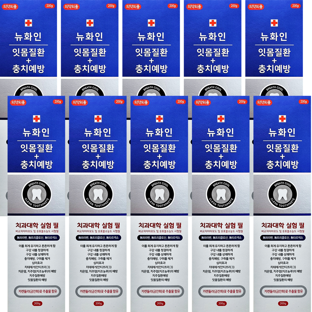 뉴화인치약 잇몸질환 충치예방 200g, 10개 - 상품 이미지