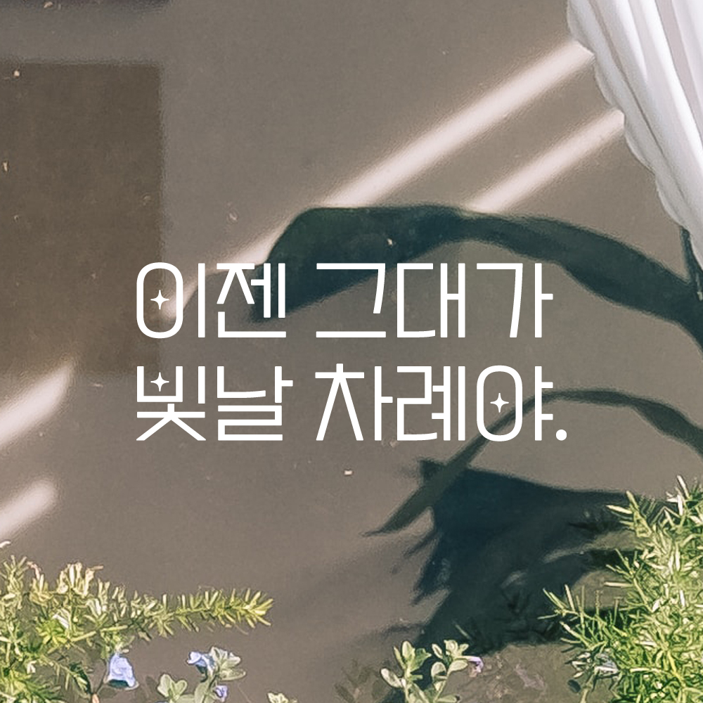 인테리어 포인트 예쁜 별폰트 레터링 스티커 이젠 그대가 빛날 차례야 LPP-033S 검정 - 상세 이미지 2