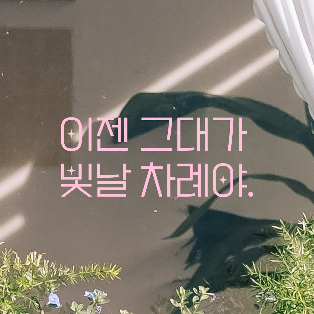 인테리어 포인트 예쁜 별폰트 레터링 스티커 이젠 그대가 빛날 차례야 LPP-033S 검정 - 상세 이미지 4