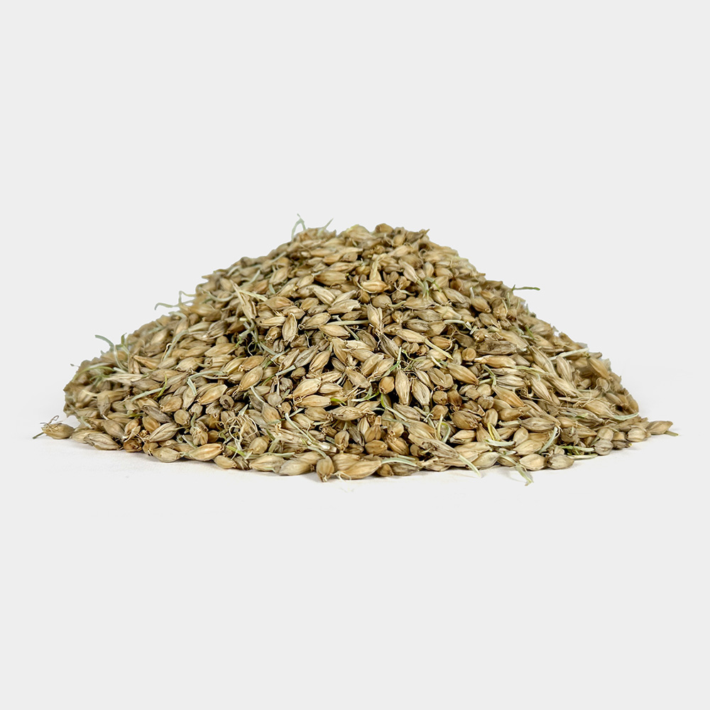 국산 싹튼 맥아 보리 1kg - 상세 이미지 2