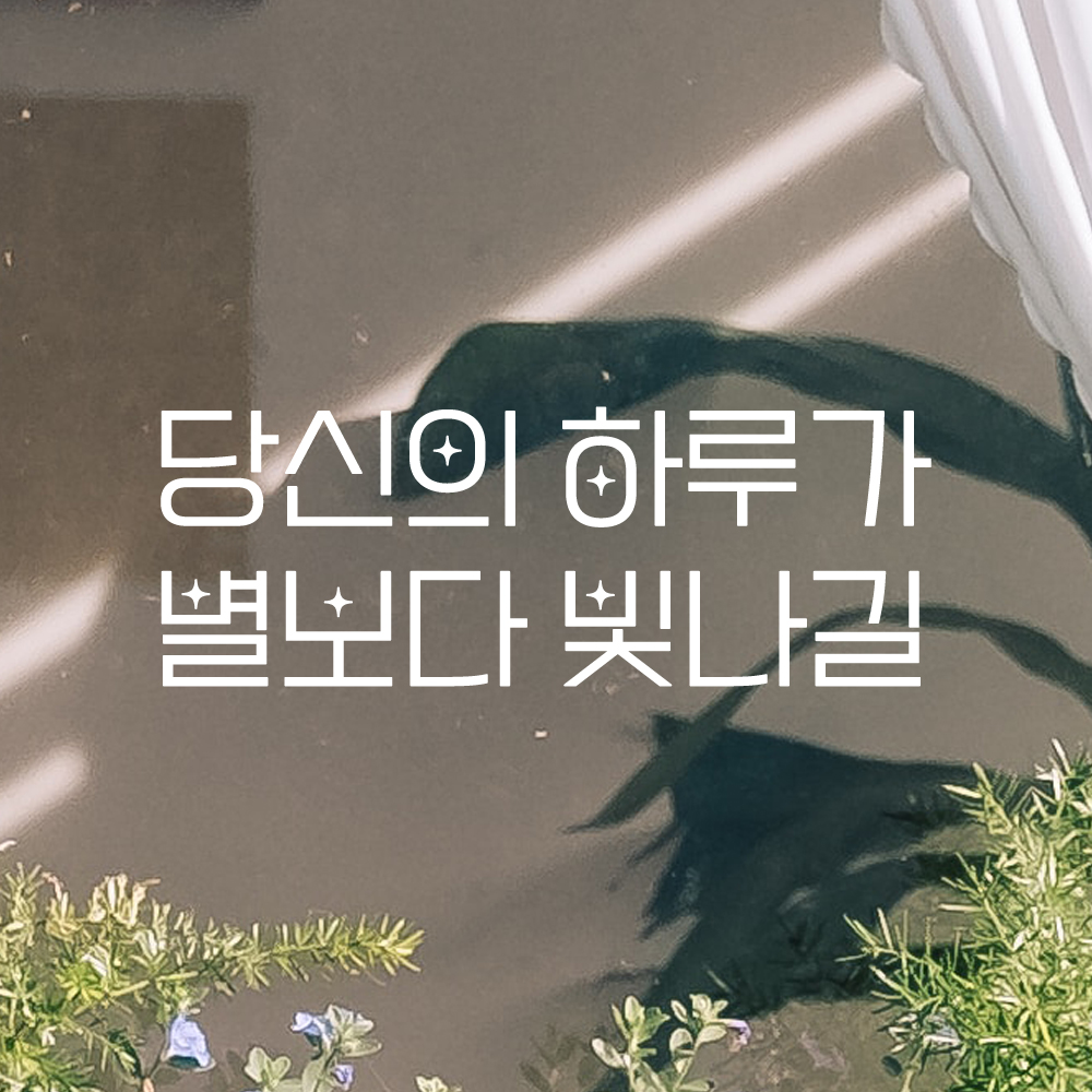 인테리어 포인트 예쁜 별폰트 레터링 스티커 당신의 하루가 별보다 빛나길 LPP-027S검정 - 상세 이미지 2