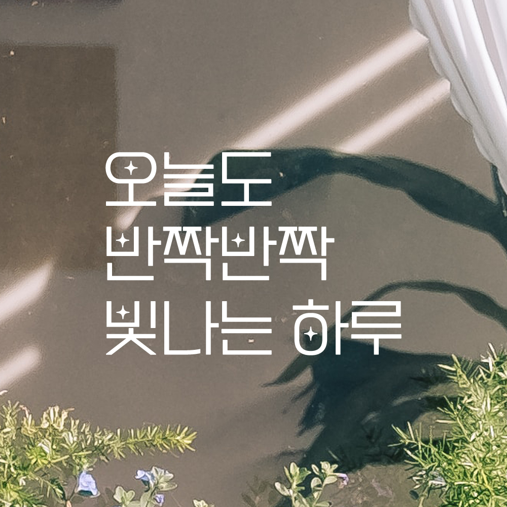 인테리어 포인트 예쁜 별폰트 레터링 스티커 오늘도 반짝반짝 빛나는 하루 LPP-034S검정 - 상세 이미지 2