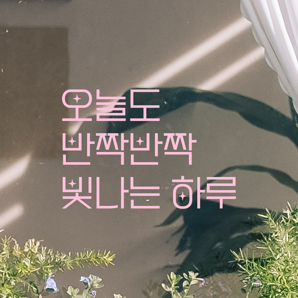 인테리어 포인트 예쁜 별폰트 레터링 스티커 오늘도 반짝반짝 빛나는 하루 LPP-034S검정 - 상세 이미지 4