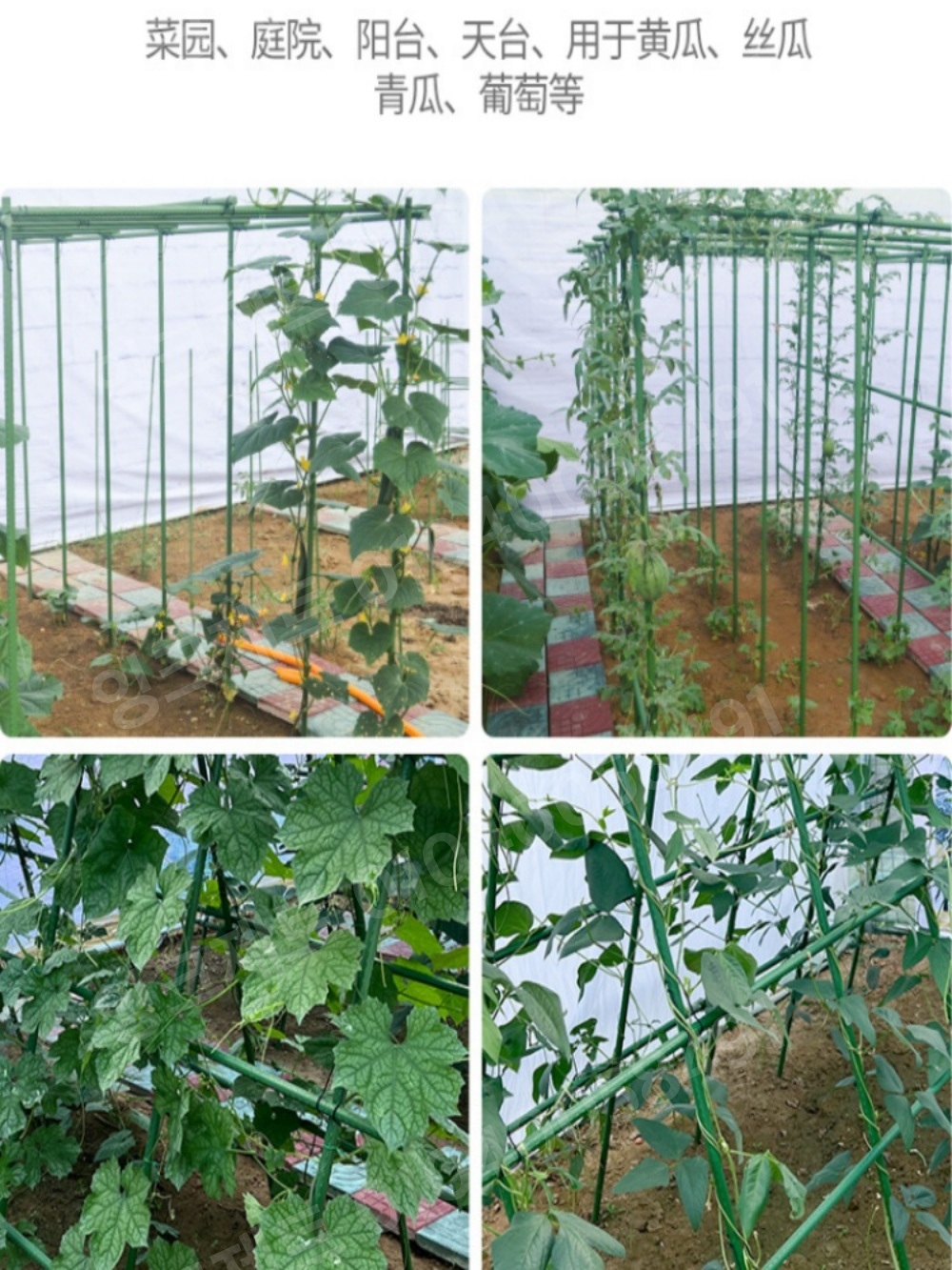 포도나무 지지대 조립식 과수원 철제 온실 프레임 기둥 - 상세 이미지 2